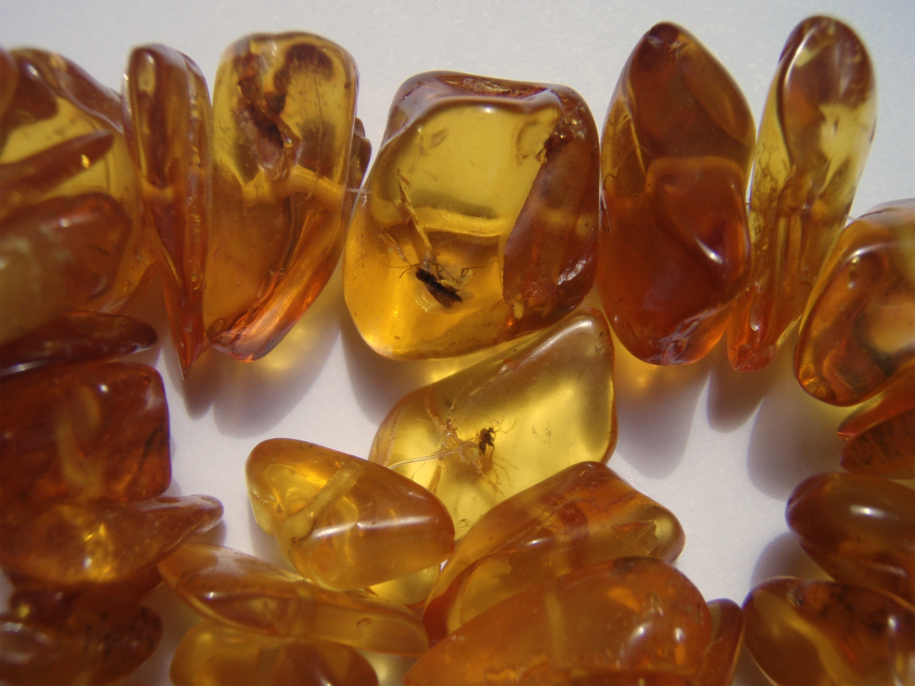 Amber geological record